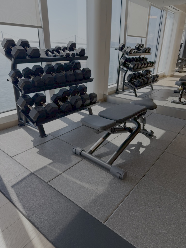 Brilliant Lady’s gym with dumbbell rack and bench, a bridge visible through the windows